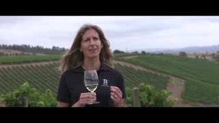 Kadún Sauvignon Gris | Valle de Leyda