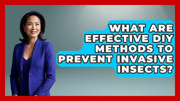 What Are Effective DIY Methods to Prevent Invasive Insects? | Insects and Invaders