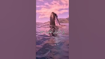 سورة الأنبياء الآية (87_88) لا أله إلا أنت سبحانك إني كنت من الظالمين 💙