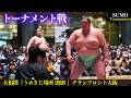 今年も琴櫻が魅せる❗ 大相撲トーナメント『うめきた場所 2026』Sumo tournament Battle 藤ノ川 豪ノ山 琴栄峰 平戸海 西ノ龍 琴勝峰 佐田の海 錦木