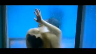 Sunny Leone Uncensored Hot Kissing