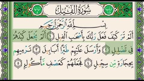 #سنبلة واجب جديد #جزء_عم3 #سورة_الفيل كاملة