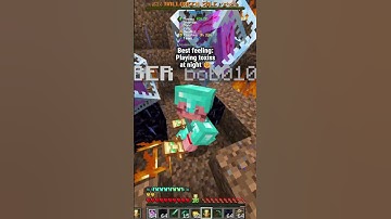 Toxiss x PassionFruit at night 😊 IP:toxiss.net Port:19132  #minecraft  #minecrafthumor # #donutsmp