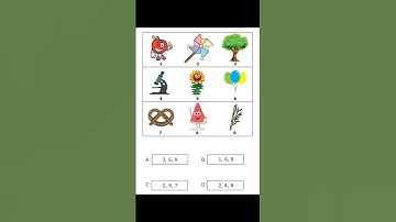 WISC-V Test Preparation Book