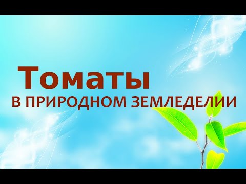 Природное земледелие - Томаты