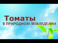 Природное земледелие - Томаты