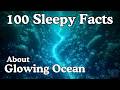 The Most Relaxing Facts About Bioluminescent Ocean Life to Fall Asleep To