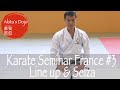 #3 Karate Basics (Seiza) - Shotokan Seminar in Grenoble, SKAI France【Akita's Karate Video】