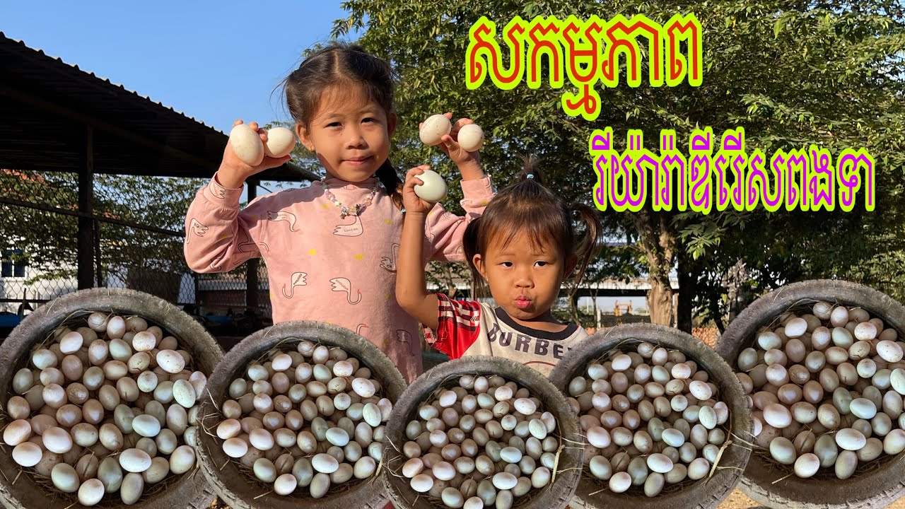 សកម្មភាពរីយ៉ារ៉ាឌីរើសពងទា🥚🪿