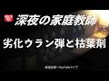 【深夜の家庭教師】劣化ウラン弾と枯葉剤 2026/05/01(金)第247回
