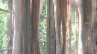 Avril Lavigne - Wild Rose Commercial