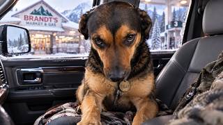 A German Shepherd Climbed Into a Veteran’s Truck—And Refused to Get Out