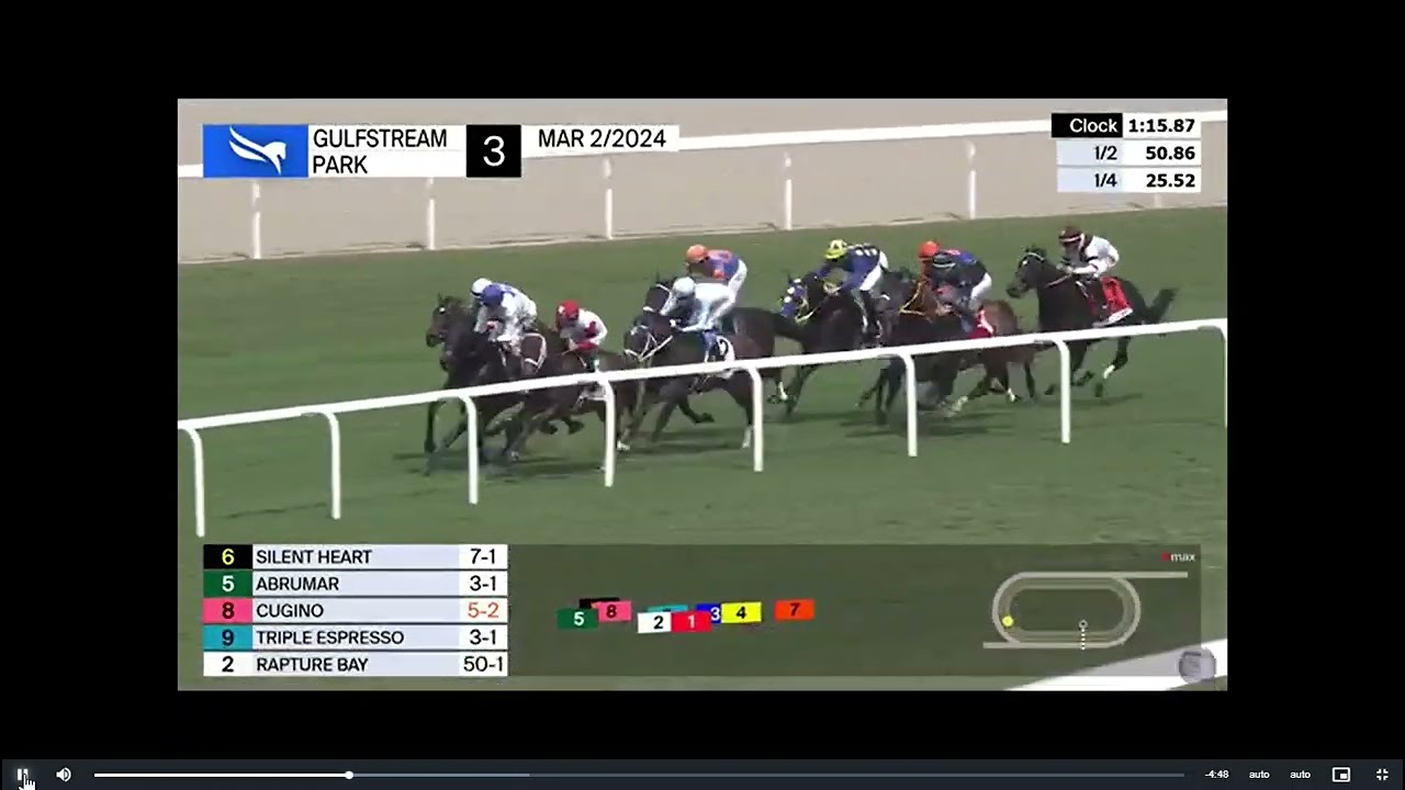 Abrumar Wins $200K The Colonel Liam Stakes. Full Race 3 Gulfstream Park Mar. 2, 2024.