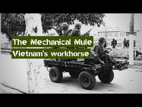 Video: Search and evacuation all-terrain vehicles of the ZIL-4906 
