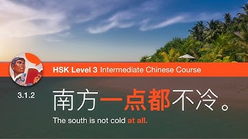 Expressing “Not at all” with “一个都／也不” - Chinese Grammar Lesson HSK 3.1.2