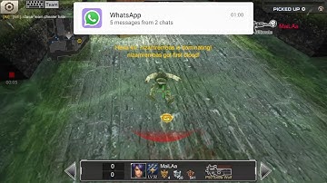 Crisis action ghost cheater