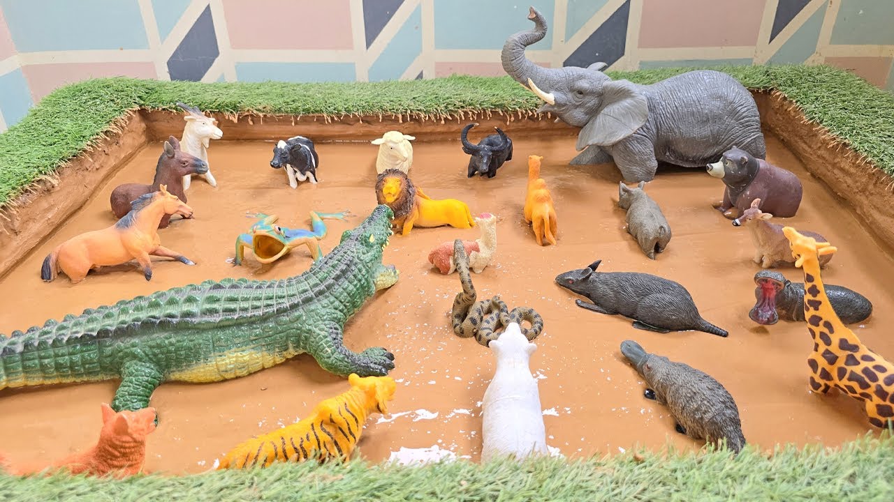 Экспедиция в самое сердце диких речных животных и горных гигантов