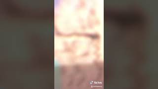 Sasuke naruto