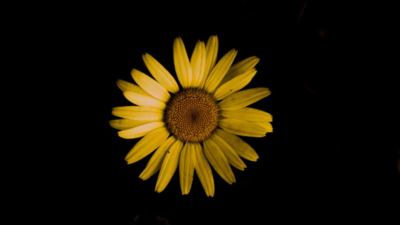 TECHNO VOL. 3 - Compilation by Various Artists 