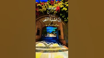 تلاوة خاشعة بصوت جميل #قران_كريم #elmulquranعلم #قرآن