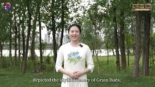 📍Decoding China Through the 24 Solar Terms | Grain Buds