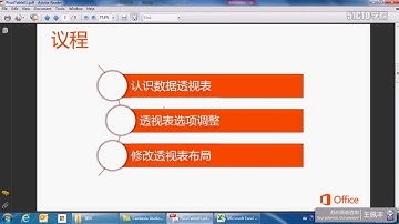 1 王佩丰Excel数据透视表视频教程01 透视表基础应用Av91841752,P1