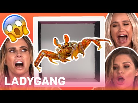 Becca Tobin, Keltie Knight & Jac Vanek: What's in the Box?! | LadyGang | E!