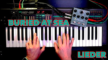 Buried at Sea: Korg Poly800 (Atomahawk) and Source Audio Ventris Improv