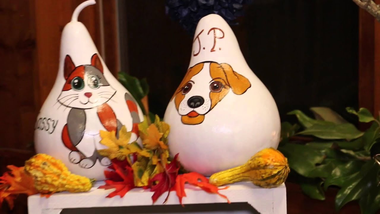 Brandon + Casey Highlight Film