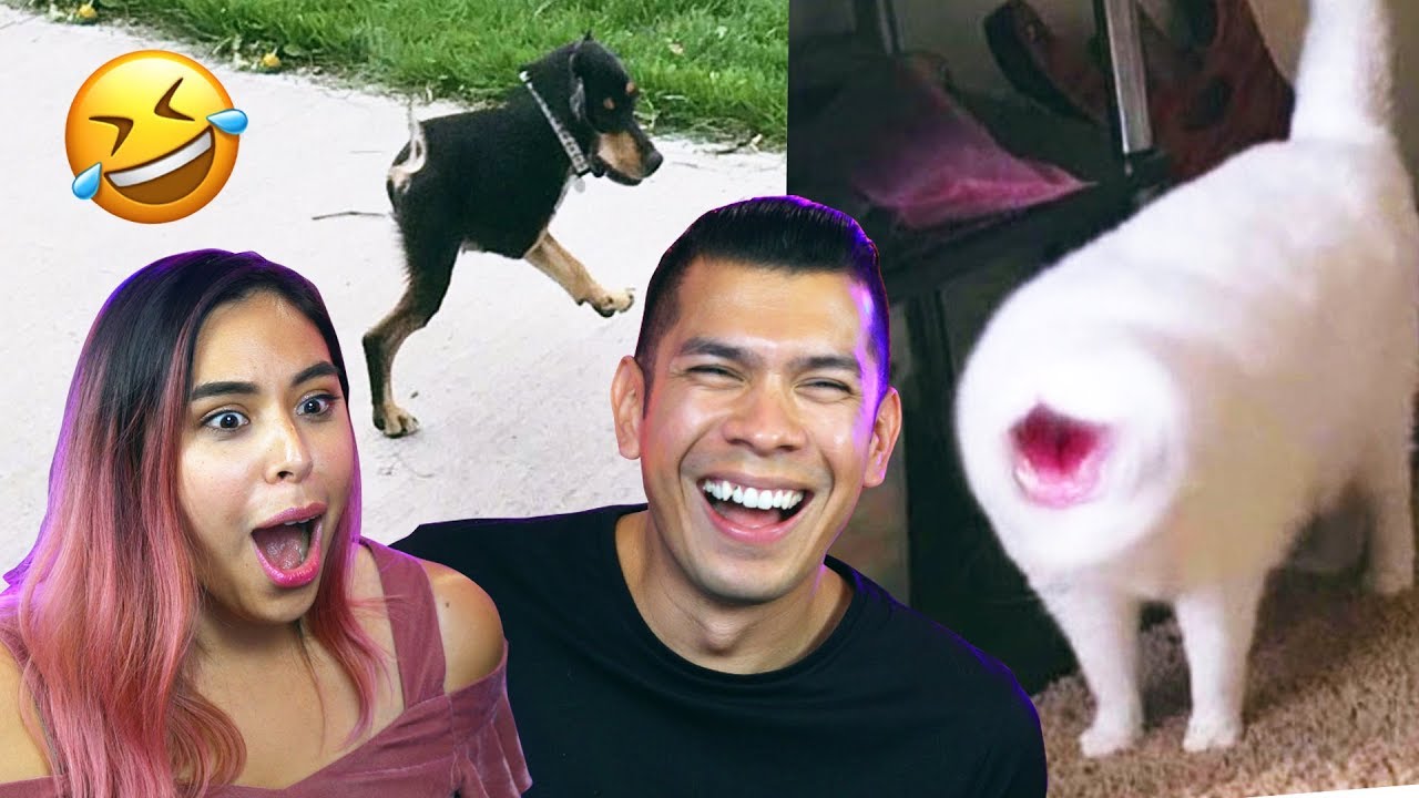 Реакция на лучшие провалы 2019 года (пока что) Хаха!