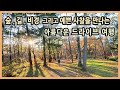숲, 길, 비경 그리고 국내에서 가장 예쁜 사찰을 만나는 아름다운 드라이브 여행 / 김천 여행, 직지사, 청암사, 김천치유의숲, 무흘구곡, 부항댐 출렁다리 / 국내여행