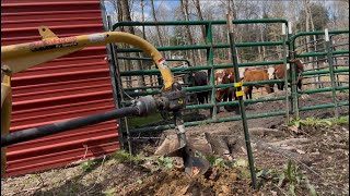 Setting post for cattle loading alley 