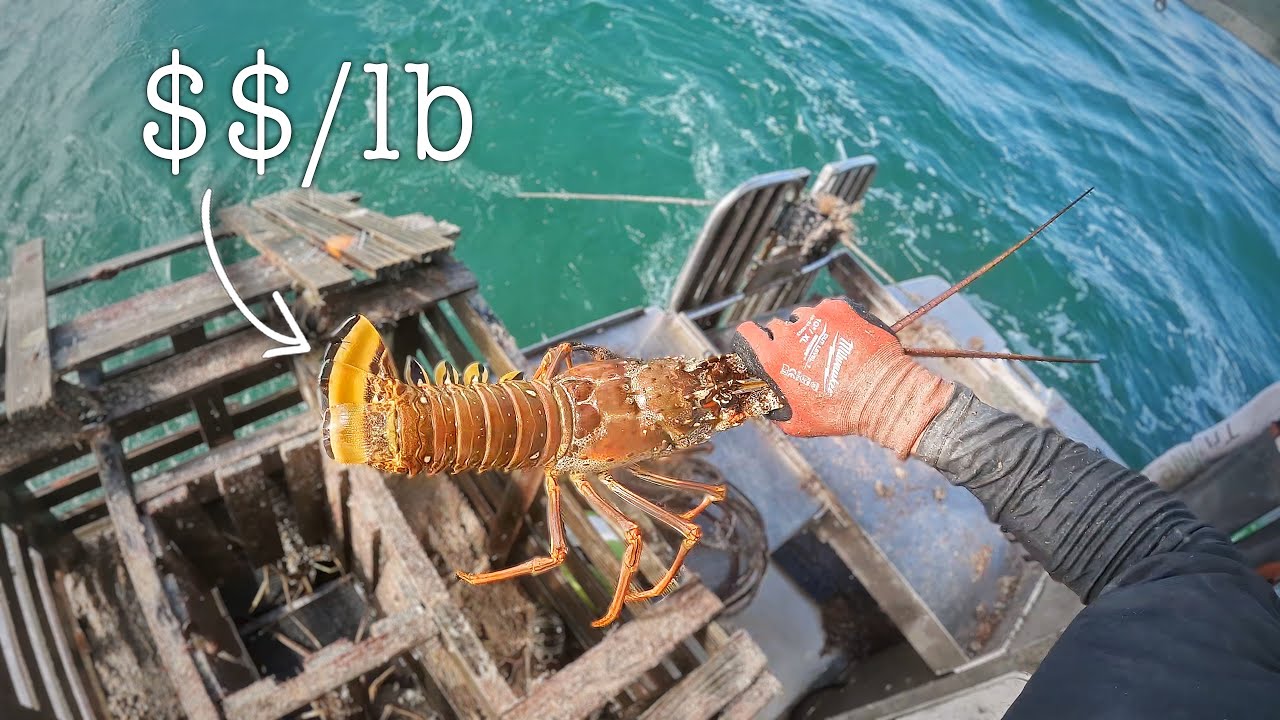 48 Hours on a Commercial Lobster Boat in the Florida Keys - YouTube