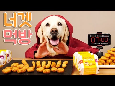 치킨너겟 순삭 먹방!!! I 맥도날드 맥너겟 챌린지 강아지 2탄!!! 수제 홈메이드 간식 치킨 너겟 🍗  (feat.맛있는 7분)