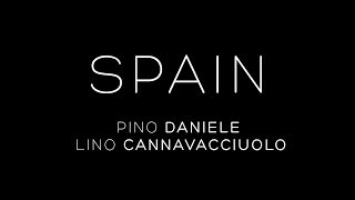 Video thumbnail of "SPAIN - PINO DANIELE feat LINO CANNAVACCIUOLO"