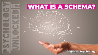 🧠 What is a schema? 🧠 Cognitive Developmental Psychology