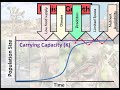 Limiting Factors That Shape Population Dynamics in Ecology