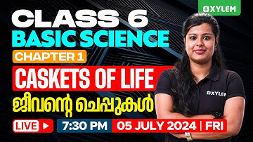 Class 6 Basic Science | Chapter 1 Caskets of Life - ജീവന്റെ ചെപ്പുകൾ | Xylem Class 6