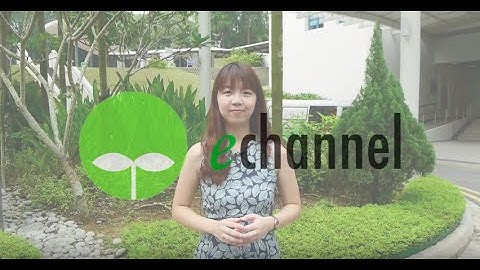 CS2029: The E-Channel