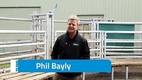 Strong, Quiet and Long-lasting Cattle Yards for Waitangi Angus