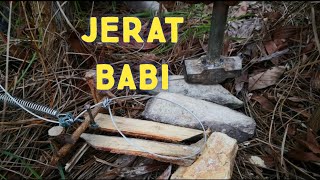 Cara Jerat Tangkap Babi