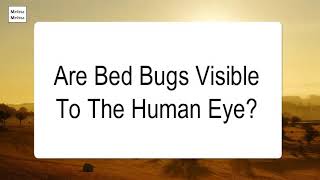 Are Bed Bugs Visible To The Human Eye