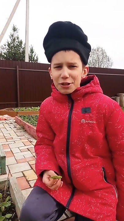 ДЕД И ВНУК ВСЕГДА В СГОВОРЕ #юмор #прикол #подпишись - YouTube
