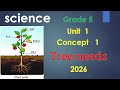 Science Grade 5 Unit 1 Concept 1 Lesson 1 Tree Needs ساينس خامسة ابتدائى ترم اول 2026 