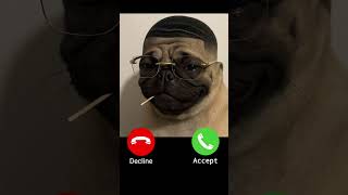 Benim Telefon Çalıyor シ