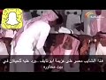 تركي الميزاني شايب يعزمه وعطاه العلم بالمحاورة أبو نايف كفوو ياأبو نايف 