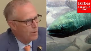 Jared Huffman: Fish Populations In Columbia River Basin Are ‘Way Below’ Historic Levels