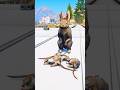 GTA V : DOGS TEACH US PURE LOVE 🥺| Part 975
