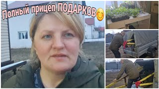 Рассада по всему дому. Полный прицеп Подарков от мужа.