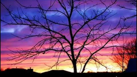 سورة الفلق أبو بكر الشاطري.flv